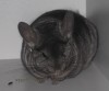 12.11.13
