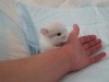 1 неделя