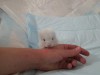 1 неделя
