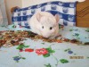 10 мес