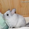 Ашот