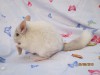 6 мес