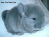 1 мес