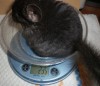 1 месяц и 1 неделя