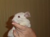 3,5 месяцев