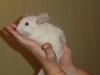 3,5 месяцев