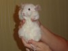 3,5 месяцев