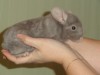 3,5 месяцев