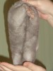 3,5 месяцев