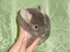 9 месяцев