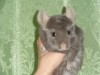 9 месяцев