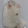 зимний лучик