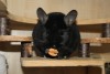 12.08.14.