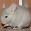 Сказка