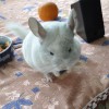 Лайки