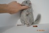 2 месяца
