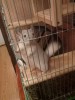 почти 5 месяцев