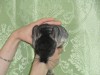 5 месяцев