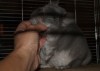 В новом доме!