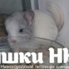 Эдвард