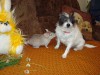 5 месяцев