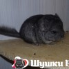 Юкка Флауа