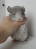 1 месяц