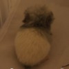 Яркий Лучик