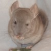 Флер
