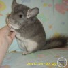 Люсьен