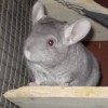 Ная
