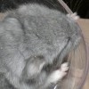Радуга