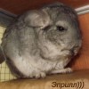 Эприл