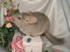 4 мес