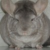 Леана