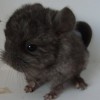 Наоми