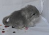 18.05.13