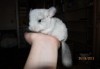 1 месяц
