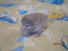 новорожденная