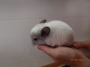 1 мес