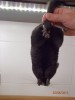 1 мес