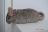 8 месяцев