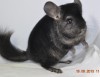 18.08.13