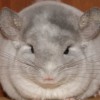 Нэнья