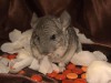 1 мес