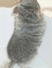 2 нед