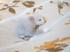 1 неделя