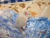 1 неделя