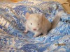 1 неделя