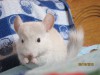 1 месяц и 3 недели